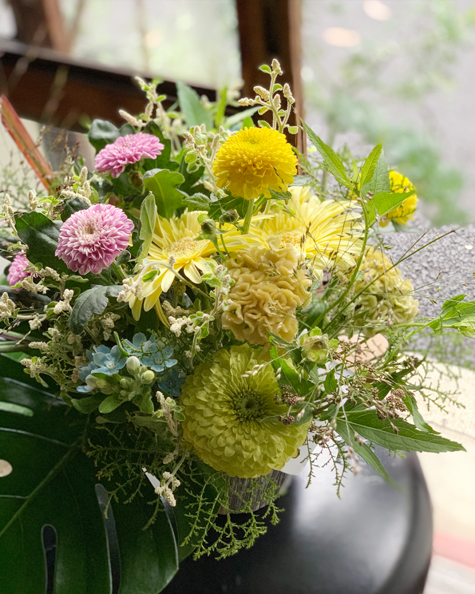 爽やかグリーンのお花